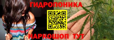 крисы Абинск