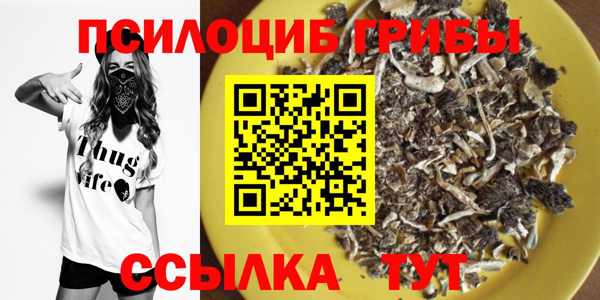 цены   Вход с VPN  Алушта  Псилоцибиновые грибы MAGIC MUSHROOMS 